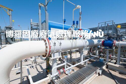 博羅固廢廢氣處理服務(wù)，靠譜又省心？快來(lái)了解！